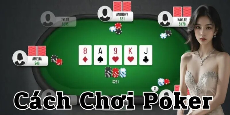 Hướng dẫn chơi poker cơ bản